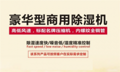 這是一份工業(yè)除濕機(jī)購(gòu)買指南 請(qǐng)你查收