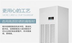 工業(yè)自動除濕機(jī)